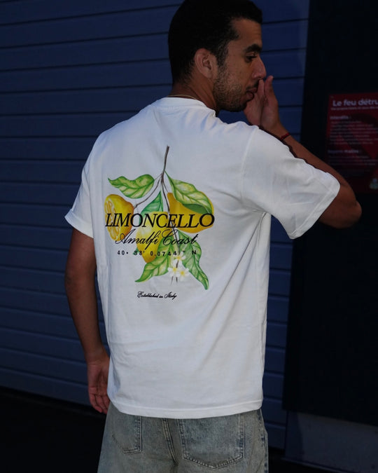 t-shirt - lemtosh